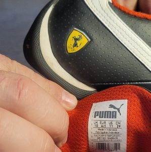 Men puma shoes